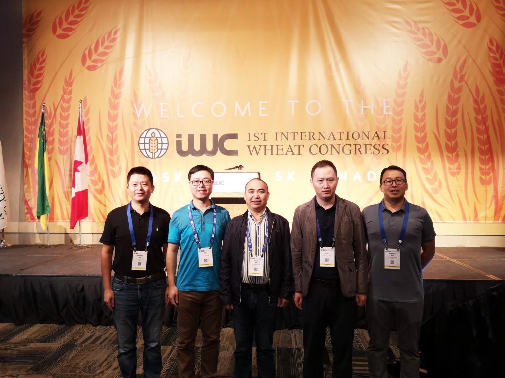 小麦所教师赴加拿大参加第一届国际小麦大会