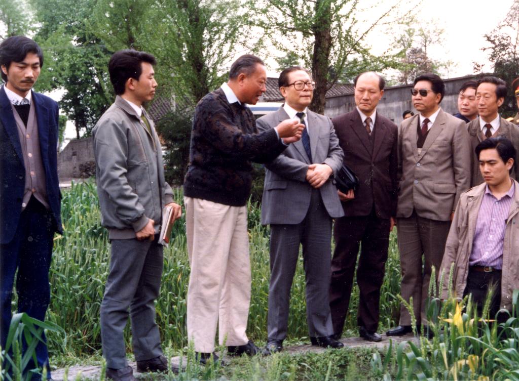 1991年，江泽民同志视察小麦研究所